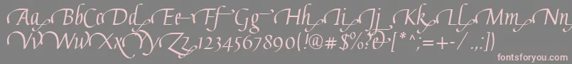 フォントGaiusLtRegularSwashEnd – 灰色の背景にピンクのフォント