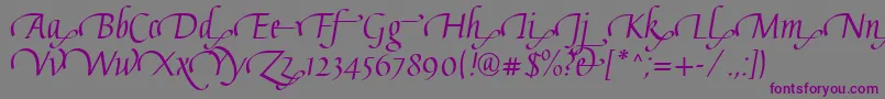 GaiusLtRegularSwashEnd Font – Purple Fonts on Gray Background