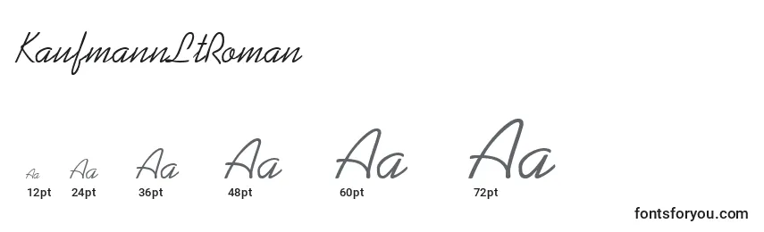 KaufmannLtRoman Font Sizes