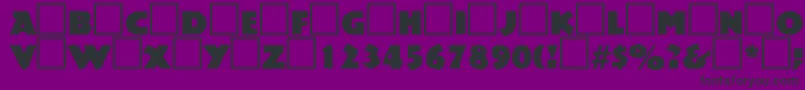 PublicityRegularDb Font – Black Fonts on Purple Background