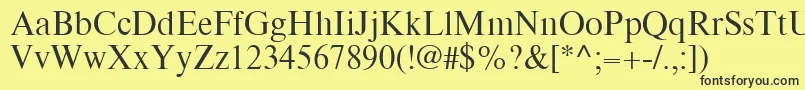 TimesEighteenLtRoman Font – Black Fonts on Yellow Background