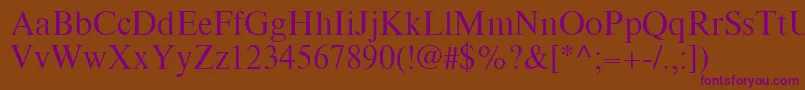 TimesEighteenLtRoman Font – Purple Fonts on Brown Background