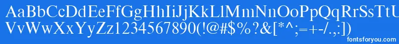 TimesEighteenLtRoman Font – White Fonts on Blue Background