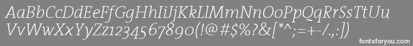 TheserifextralightItalic Font – White Fonts on Gray Background