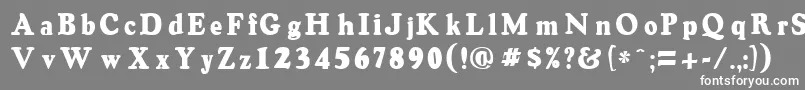 フォントOswaldgreyRegular – 灰色の背景に白い文字