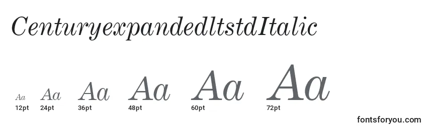 CenturyexpandedltstdItalic Font Sizes