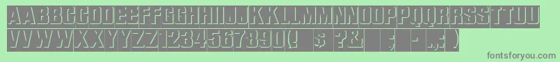 ReliefRegular Font – Gray Fonts on Green Background