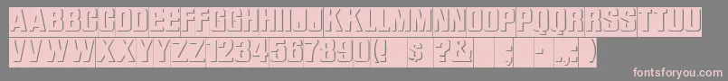 ReliefRegular Font – Pink Fonts on Gray Background