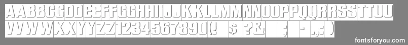 ReliefRegular Font – White Fonts on Gray Background