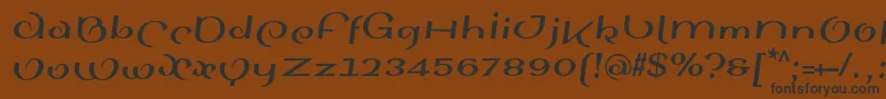 Police SinahsansLtBoldItalic – polices noires sur fond brun