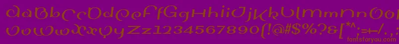 SinahsansLtBoldItalic Font – Brown Fonts on Purple Background