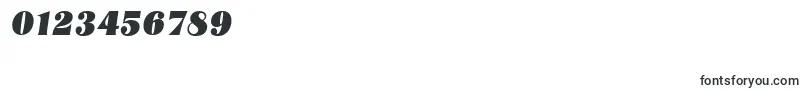NashvilleserialHeavyItalic-Schriftart – Schriften für Zahlen und Nummern