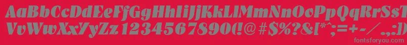 フォントNashvilleserialHeavyItalic – 赤い背景に灰色の文字