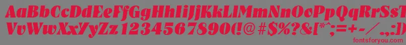 NashvilleserialHeavyItalic Font – Red Fonts on Gray Background