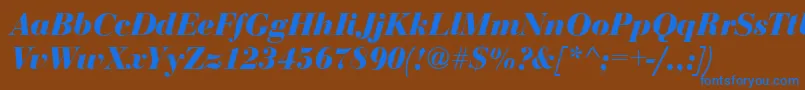 Шрифт BodoniDisplayBolditalic – синие шрифты на коричневом фоне