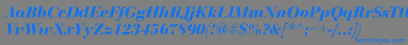 BodoniDisplayBolditalic Font – Blue Fonts on Gray Background