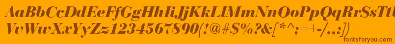 BodoniDisplayBolditalic Font – Brown Fonts on Orange Background