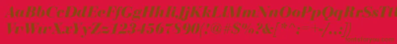BodoniDisplayBolditalic Font – Brown Fonts on Red Background