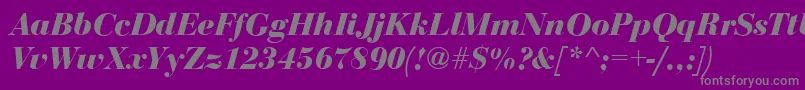 BodoniDisplayBolditalic Font – Gray Fonts on Purple Background