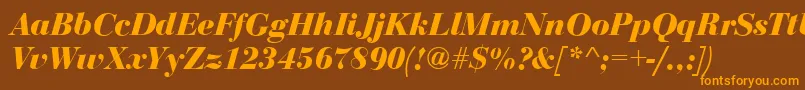 Шрифт BodoniDisplayBolditalic – оранжевые шрифты на коричневом фоне