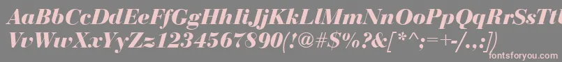 BodoniDisplayBolditalic Font – Pink Fonts on Gray Background