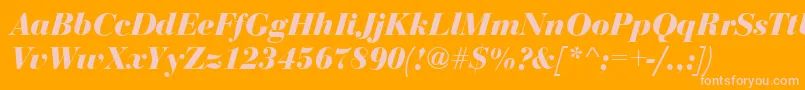 BodoniDisplayBolditalic-Schriftart – Rosa Schriften auf orangefarbenem Hintergrund
