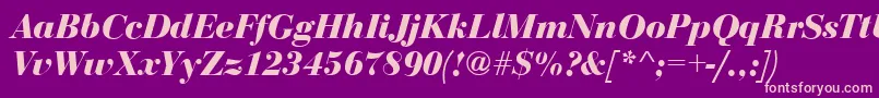 BodoniDisplayBolditalic Font – Pink Fonts on Purple Background