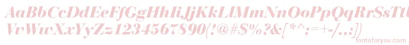 BodoniDisplayBolditalic Font – Pink Fonts on White Background