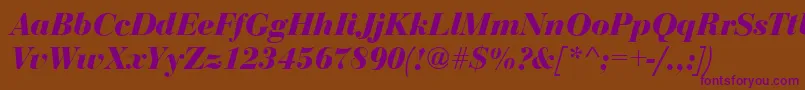 BodoniDisplayBolditalic Font – Purple Fonts on Brown Background