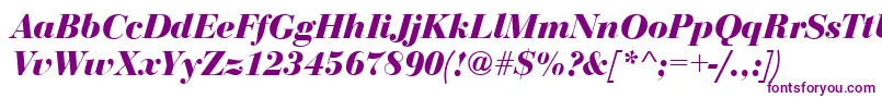 BodoniDisplayBolditalic Font – Purple Fonts on White Background