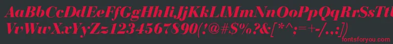 BodoniDisplayBolditalic Font – Red Fonts on Black Background