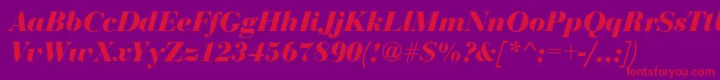 BodoniDisplayBolditalic Font – Red Fonts on Purple Background