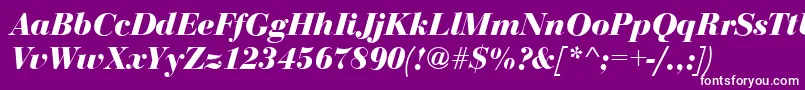 BodoniDisplayBolditalic-fontti – valkoiset fontit violetilla taustalla
