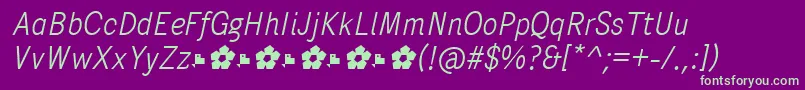 PentaySansLightItalic Font – Green Fonts on Purple Background