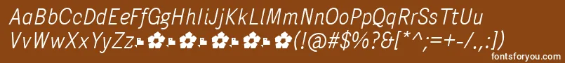 フォントPentaySansLightItalic – 茶色の背景に白い文字