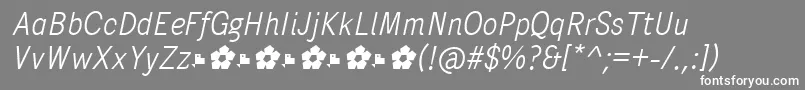 フォントPentaySansLightItalic – 灰色の背景に白い文字
