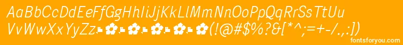 PentaySansLightItalic Font – White Fonts on Orange Background