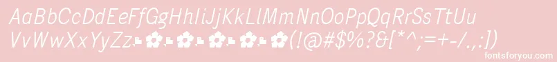 PentaySansLightItalic Font – White Fonts on Pink Background