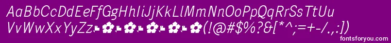 PentaySansLightItalic Font – White Fonts on Purple Background
