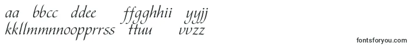 Czcionka Vesnac – litewskie czcionki