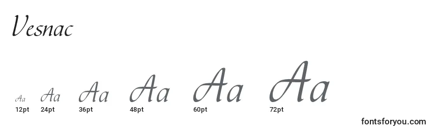 Vesnac Font Sizes