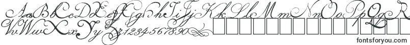 Volutes-Schriftart – Kalligrafische Schriften