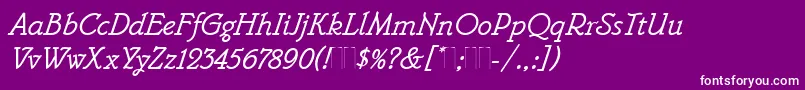 フォントBelweMonoItalicPlain – 紫の背景に白い文字