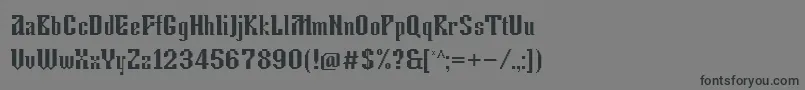 Tkachevica13px Font – Black Fonts on Gray Background