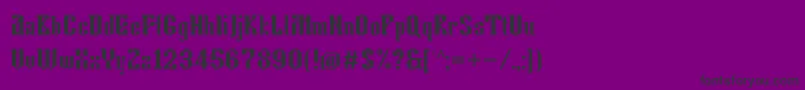 Tkachevica13px Font – Black Fonts on Purple Background