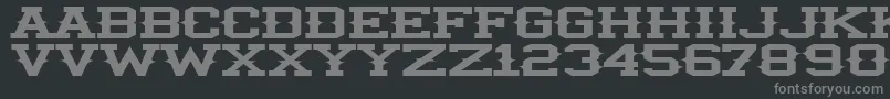 Czcionka IlliniSpike – szare czcionki na czarnym tle
