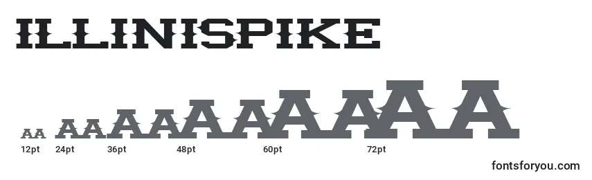 Размеры шрифта IlliniSpike