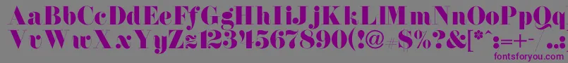 NewdawneNormal-fontti – violetit fontit harmaalla taustalla