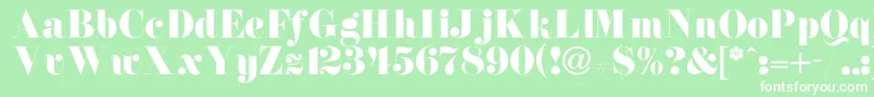 NewdawneNormal Font – White Fonts on Green Background