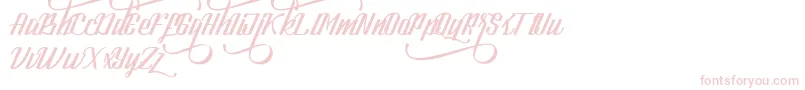 LookStandard Font – Pink Fonts on White Background